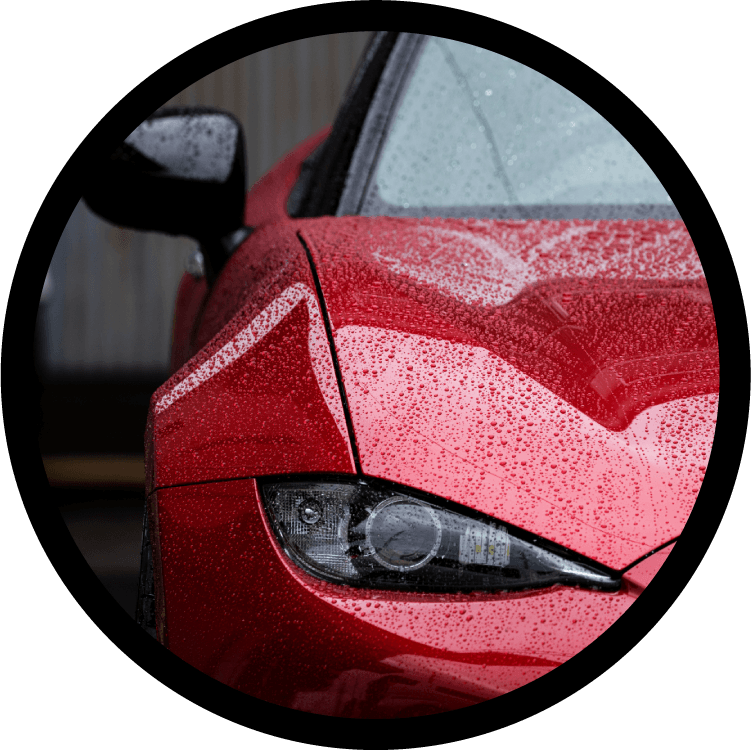 コーティングの写真